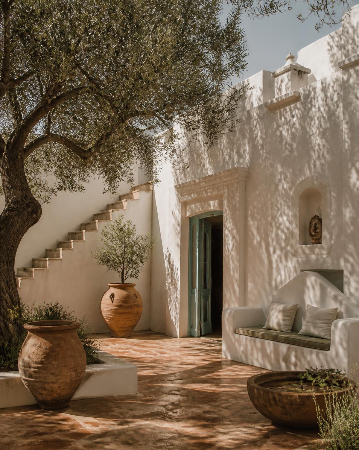 A sun-drenched Mediterranean courtyard with olive trees